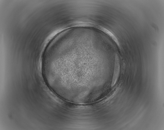 X0000115231419200911131634