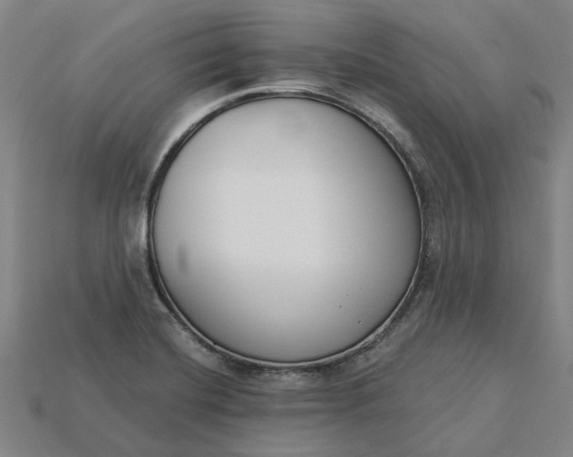 X0000115231420200911131634