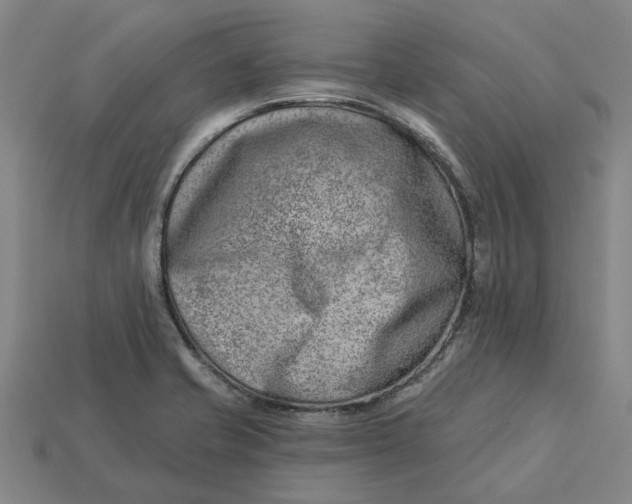 X0000115231421200911131634