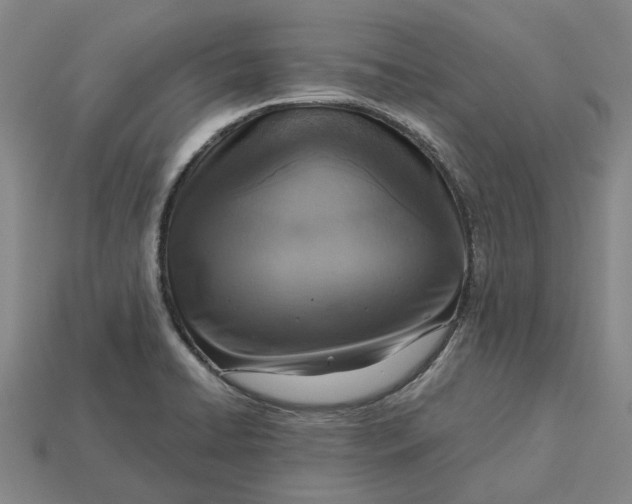 X0000115231422200911131634