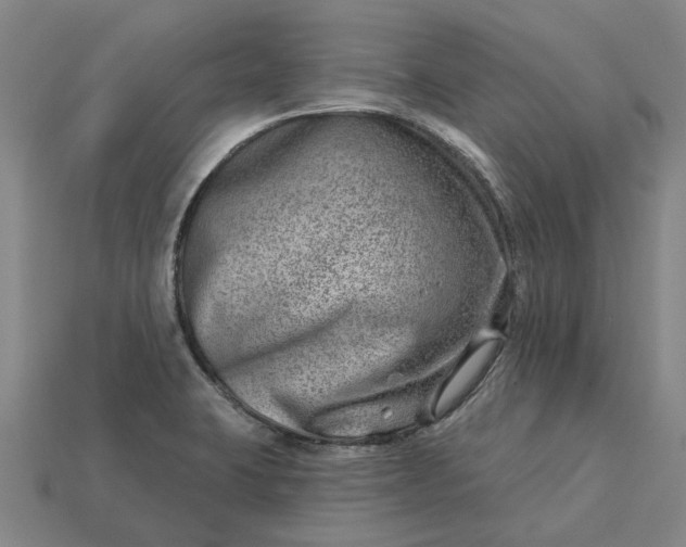 X0000115231423200911131634