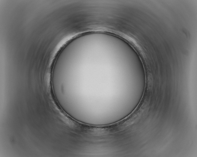 X0000115231424200911131634