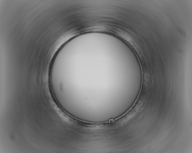 X0000115231426200911131634