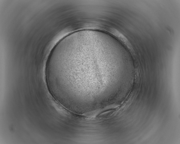 X0000115231427200911131634