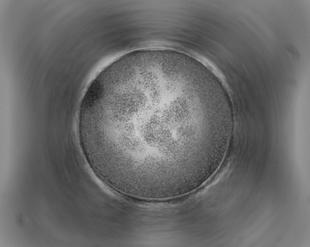 X0000115231429200911131634