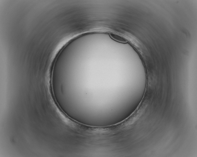 X0000115231430200911131634