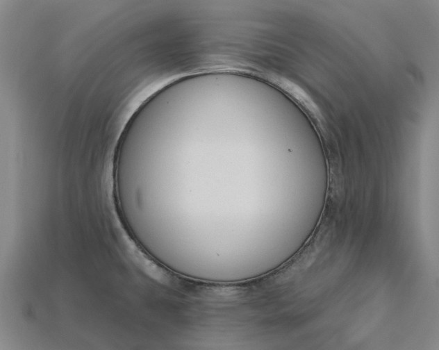 X0000115231431200911131634
