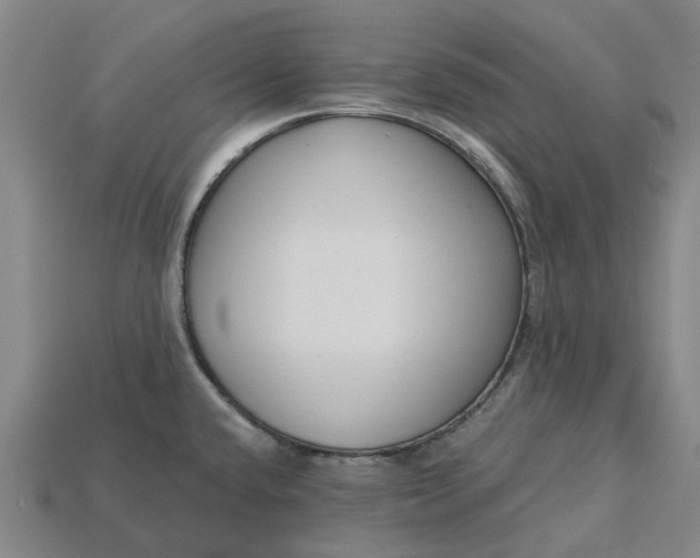 X0000115231432200911131634