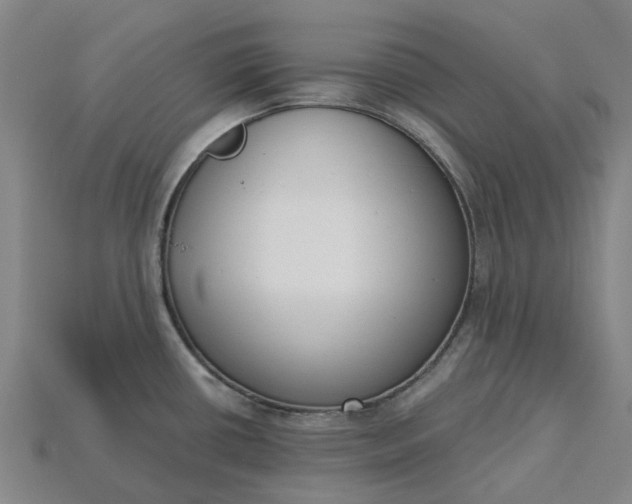 X0000115231434200911131634