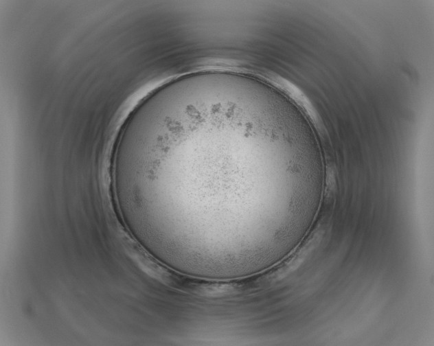 X0000115231435200911131634