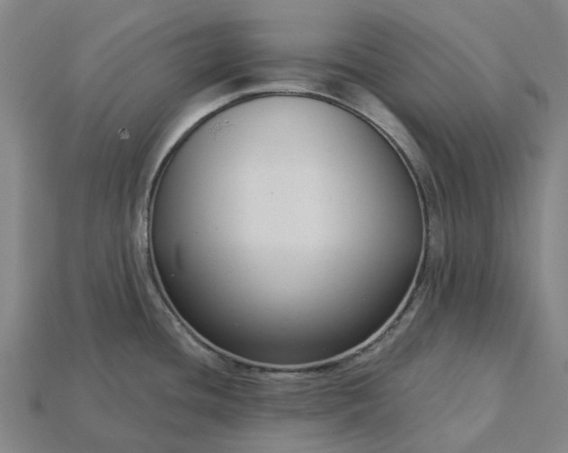 X0000115231436200911131635