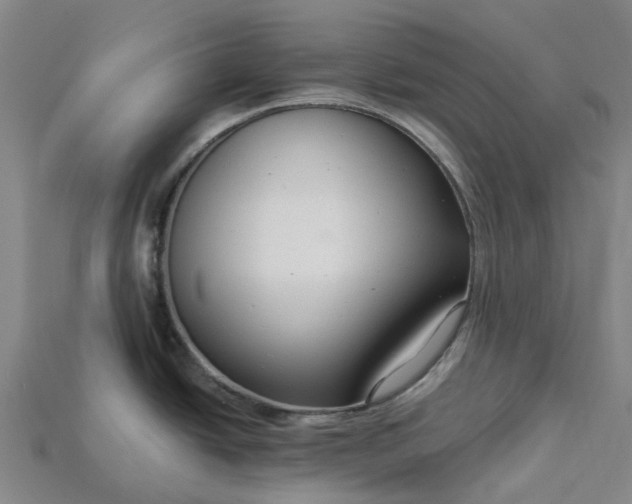 X0000115231438200911131635