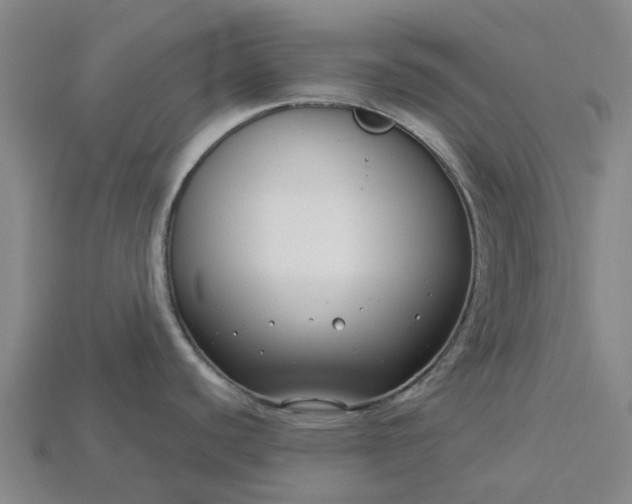X0000115231440200911131635
