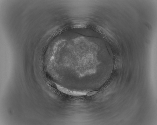 X0000115231441200911131634