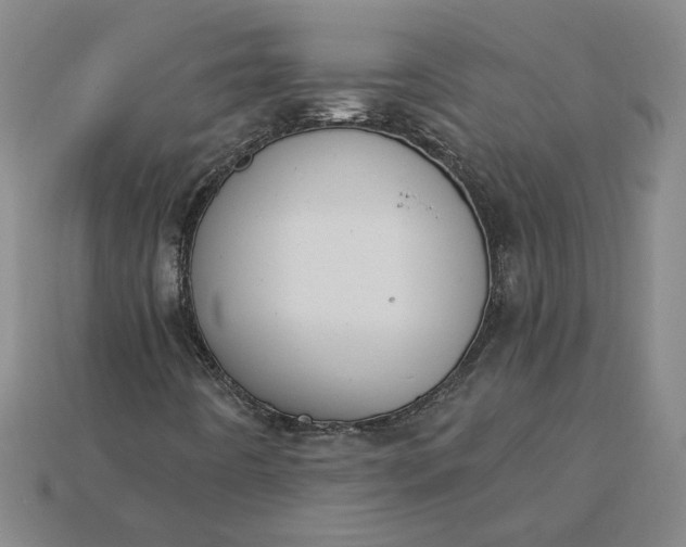 X0000115231442200911131634