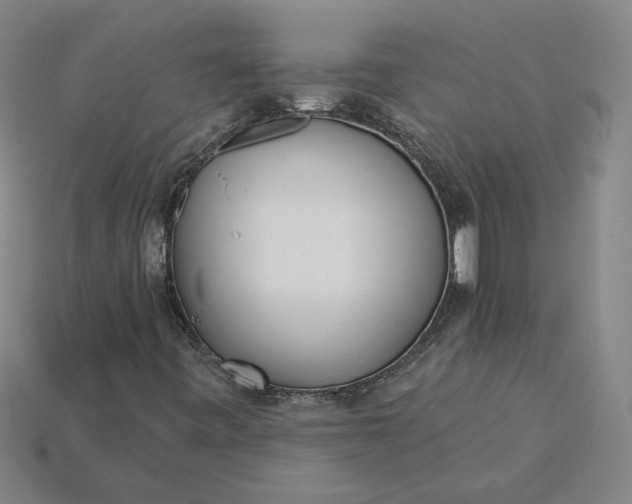 X0000115231443200911131634