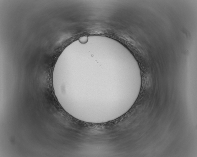 X0000115231446200911131634