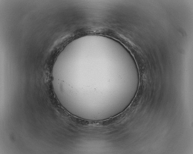 X0000115231447200911131634