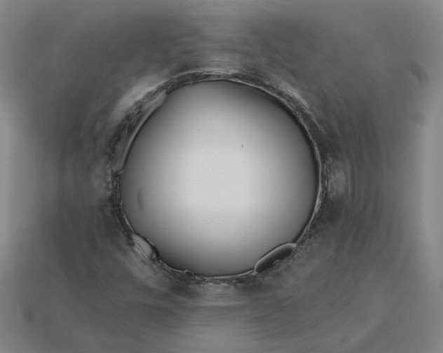 X0000115231448200911131634