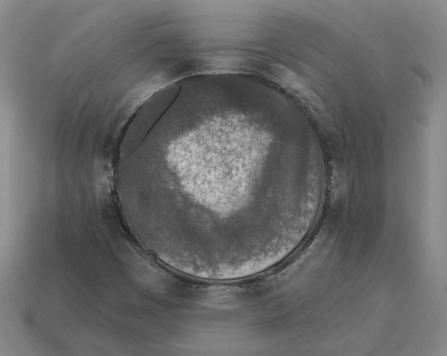 X0000115231449200911131634
