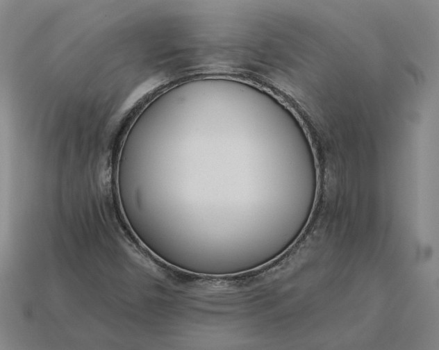 X0000115231450200911131634