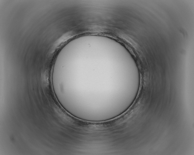 X0000115231451200911131634