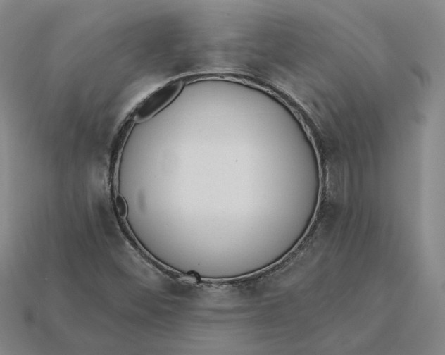 X0000115231452200911131634