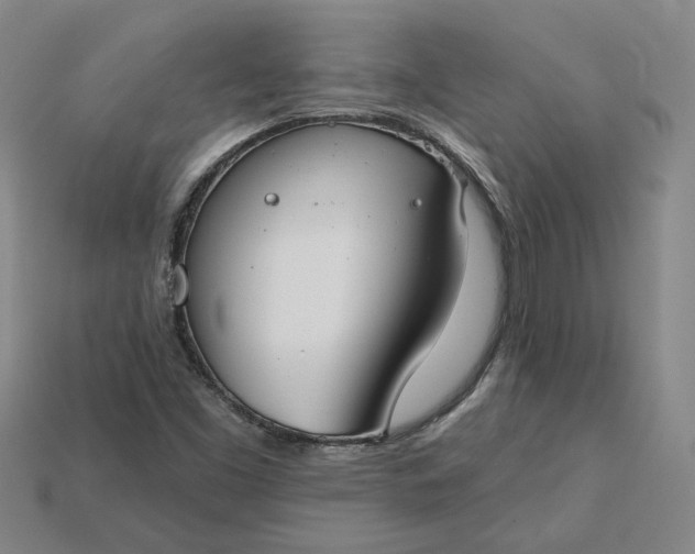 X0000115231453200911131634