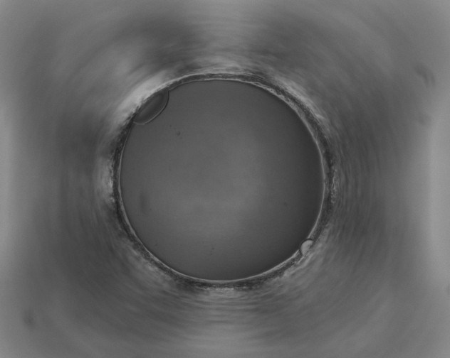 X0000115231455200911131634