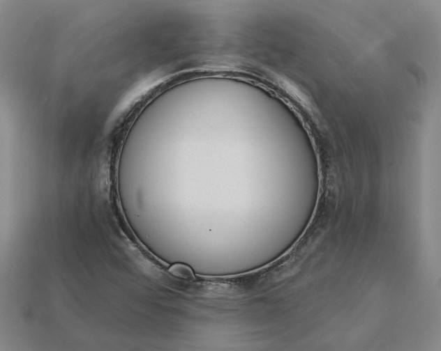 X0000115231456200911131634
