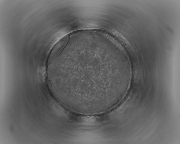 X0000115231457200911131634