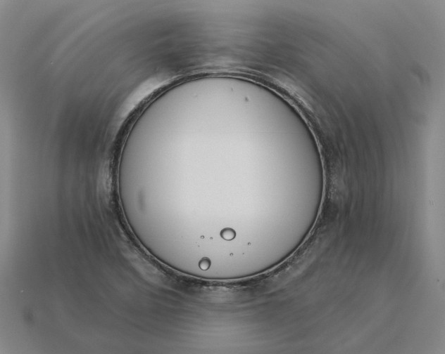 X0000115231458200911131634