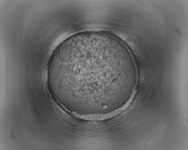 X0000115231459200911131634