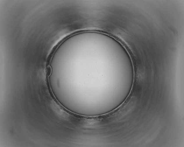 X0000115231460200911131634