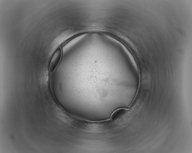 X0000115231461200911131634