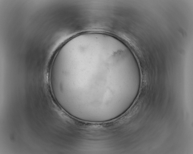 X0000115231462200911131634