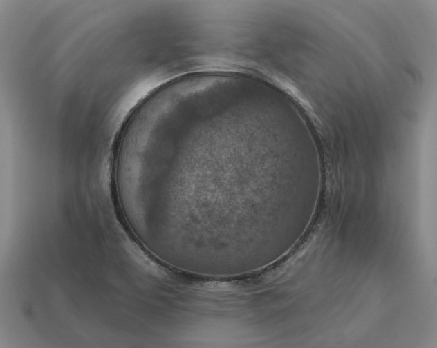 X0000115231463200911131634