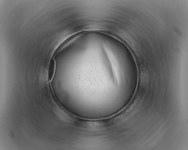 X0000115231465200911131634