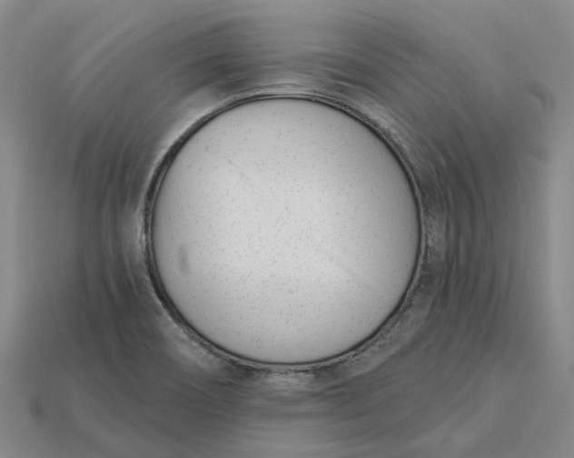 X0000115231466200911131634