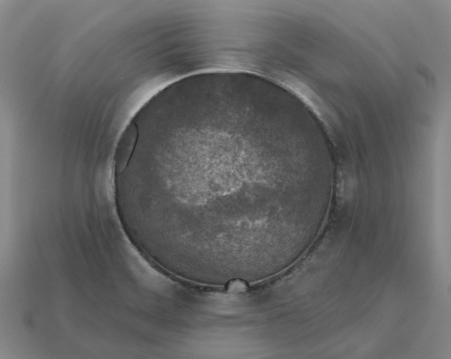X0000115231468200911131634