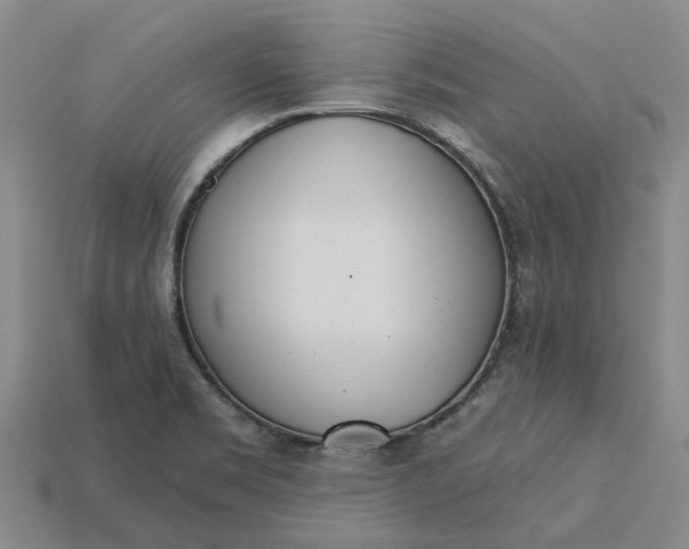 X0000115231469200911131634