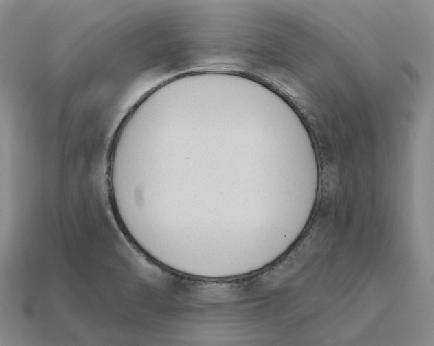 X0000115231470200911131634