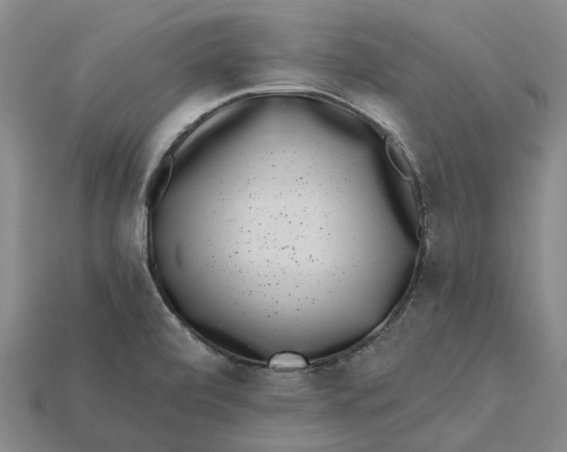 X0000115231472200911131634