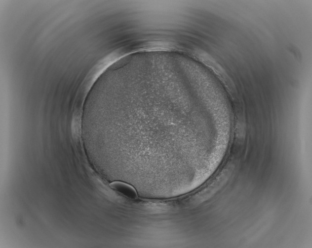 X0000115231473200911131634