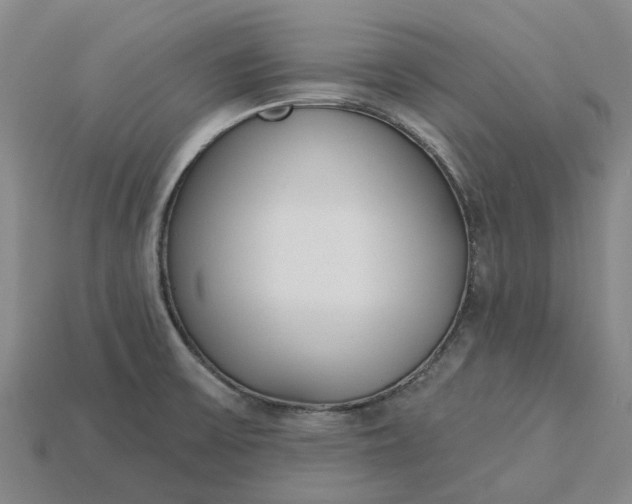 X0000115231475200911131634
