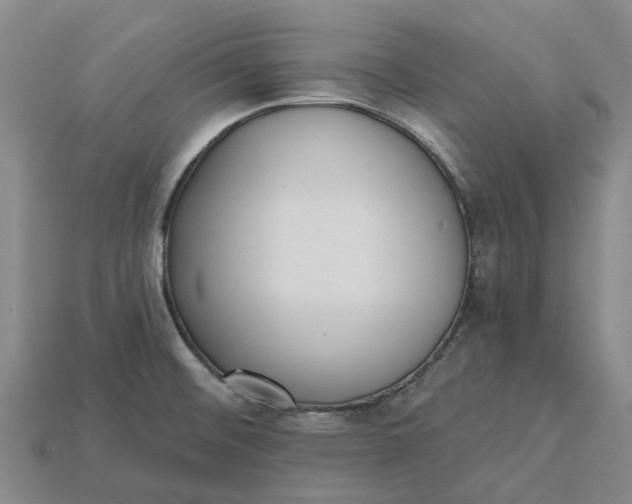 X0000115231476200911131633