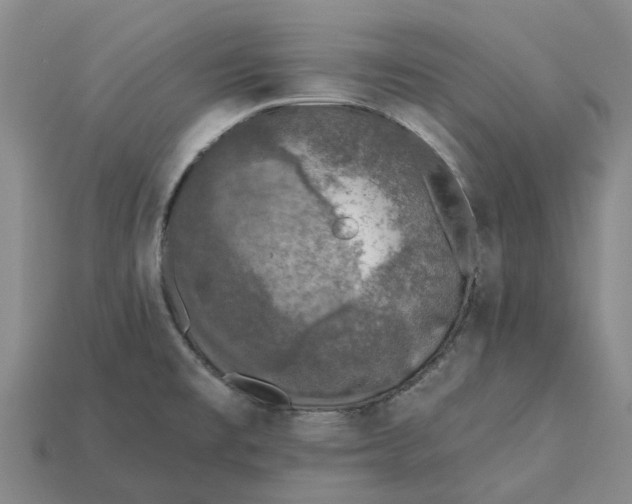 X0000115231477200911131633