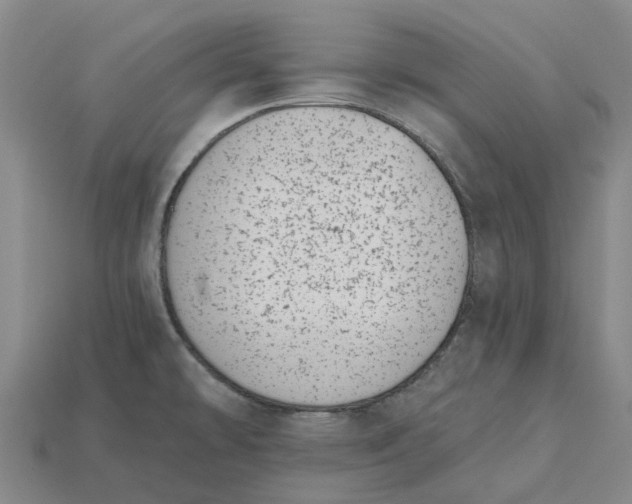 X0000115231478200911131633