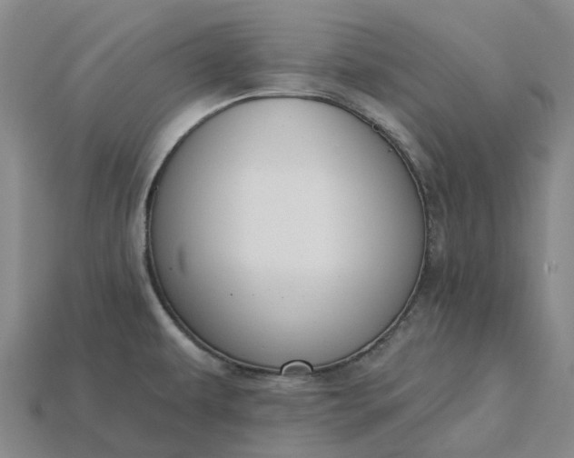 X0000115231479200911131633