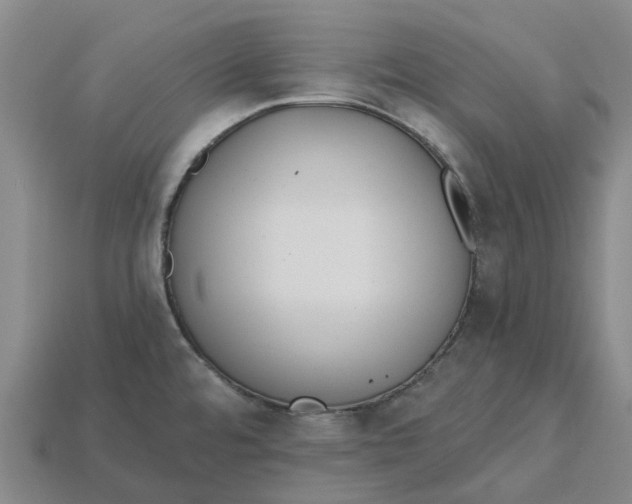 X0000115231480200911131633